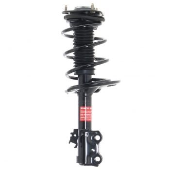 Suspension Strut and Coil Spring Assembly