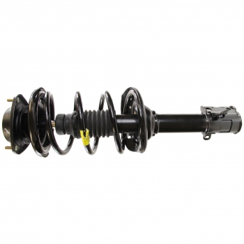 Suspension Strut and Coil Spring Assembly