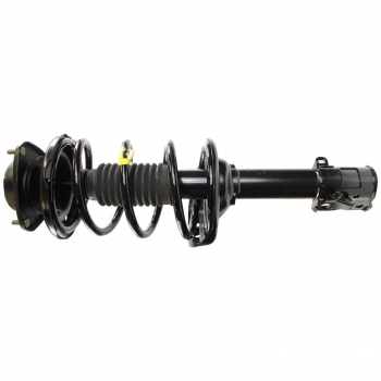 Suspension Strut and Coil Spring Assembly