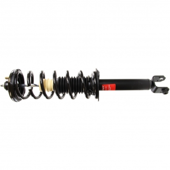 Suspension Strut and Coil Spring Assembly