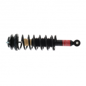 Suspension Strut and Coil Spring Assembly