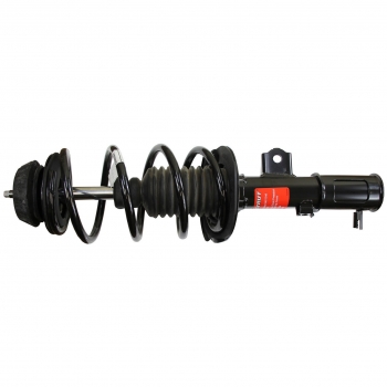 Suspension Strut and Coil Spring Assembly