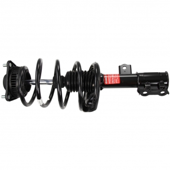 Suspension Strut and Coil Spring Assembly