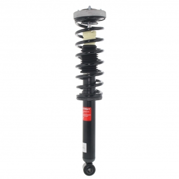 Suspension Strut and Coil Spring Assembly