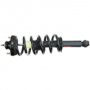 Suspension Strut and Coil Spring Assembly