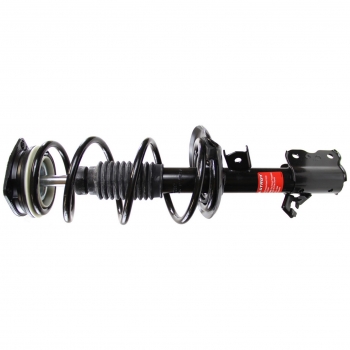 Suspension Strut and Coil Spring Assembly