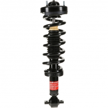 Suspension Strut and Coil Spring Assembly