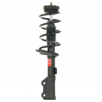 Suspension Strut and Coil Spring Assembly