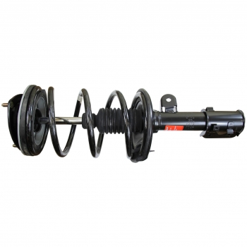 Suspension Strut and Coil Spring Assembly