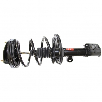 Suspension Strut and Coil Spring Assembly