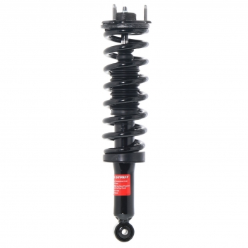 Suspension Strut and Coil Spring Assembly