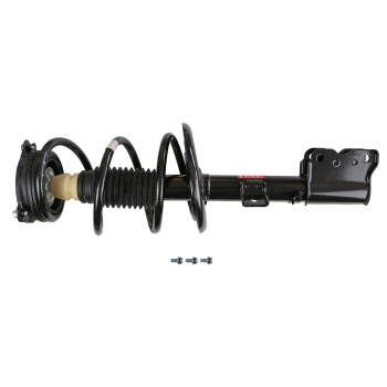 Suspension Strut and Coil Spring Assembly