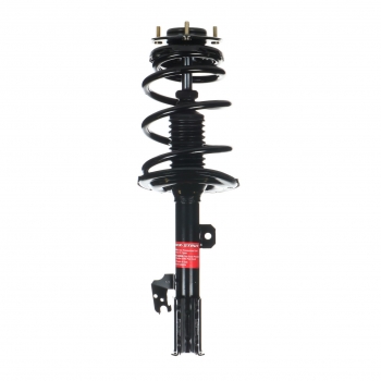Suspension Strut and Coil Spring Assembly