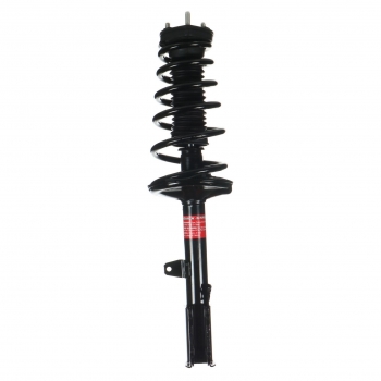 Suspension Strut and Coil Spring Assembly