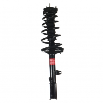 Suspension Strut and Coil Spring Assembly