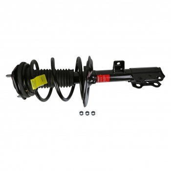 Suspension Strut and Coil Spring Assembly