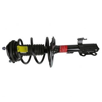 Suspension Strut and Coil Spring Assembly