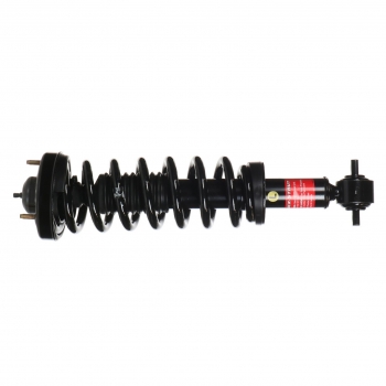 Suspension Strut and Coil Spring Assembly
