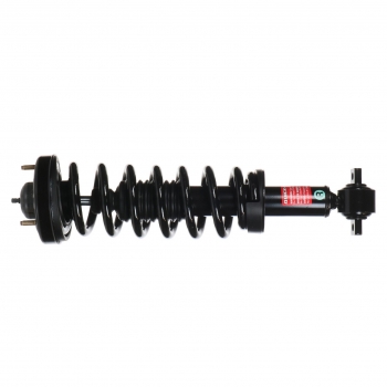 Suspension Strut and Coil Spring Assembly
