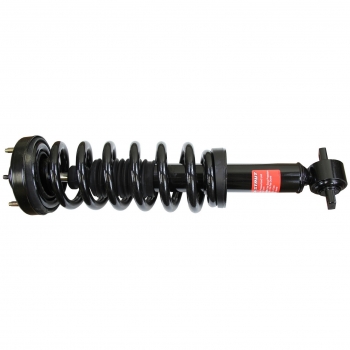 Suspension Strut and Coil Spring Assembly