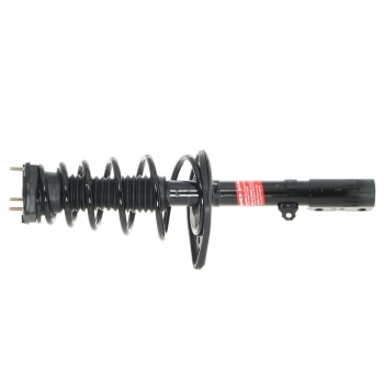 Suspension Strut and Coil Spring Assembly