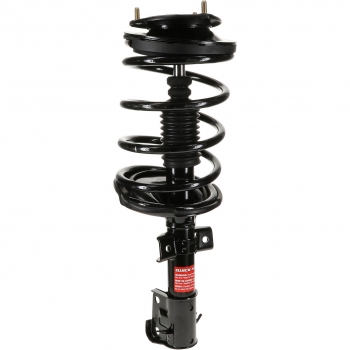 Suspension Strut and Coil Spring Assembly