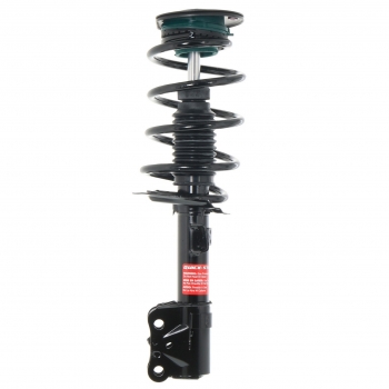 Suspension Strut and Coil Spring Assembly