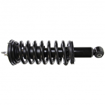 Suspension Strut and Coil Spring Assembly