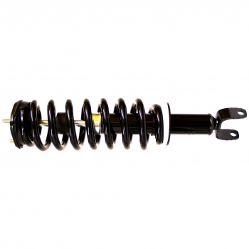 Suspension Strut and Coil Spring Assembly