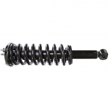 Suspension Strut and Coil Spring Assembly