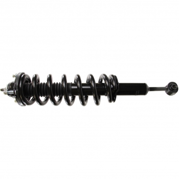 Suspension Strut and Coil Spring Assembly