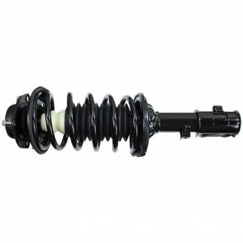 Suspension Strut and Coil Spring Assembly