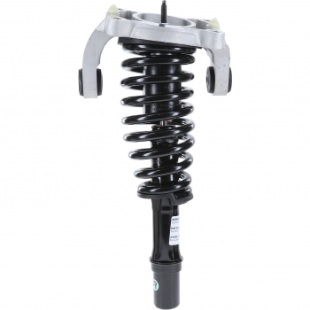 Suspension Strut and Coil Spring Assembly