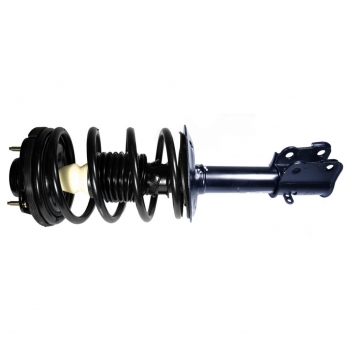 Suspension Strut and Coil Spring Assembly