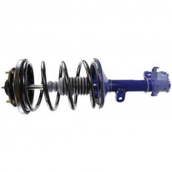 Suspension Strut and Coil Spring Assembly