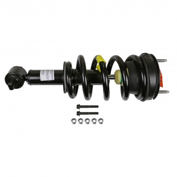 Suspension Strut and Coil Spring Assembly