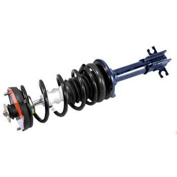 Suspension Strut and Coil Spring Assembly