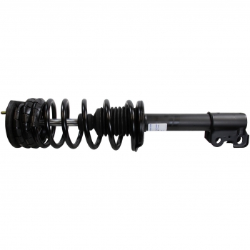 Suspension Strut and Coil Spring Assembly