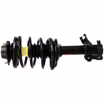 Suspension Strut and Coil Spring Assembly