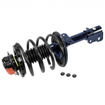 Suspension Strut and Coil Spring Assembly