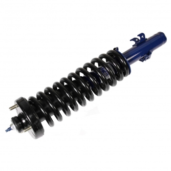 Suspension Strut and Coil Spring Assembly