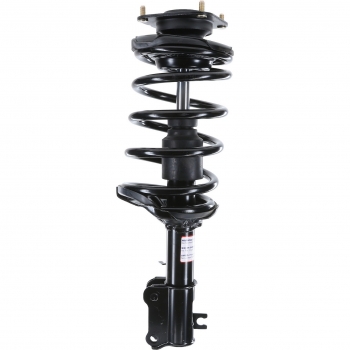 Suspension Strut and Coil Spring Assembly