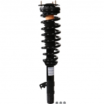 Suspension Strut and Coil Spring Assembly