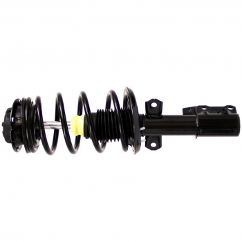 Suspension Strut and Coil Spring Assembly