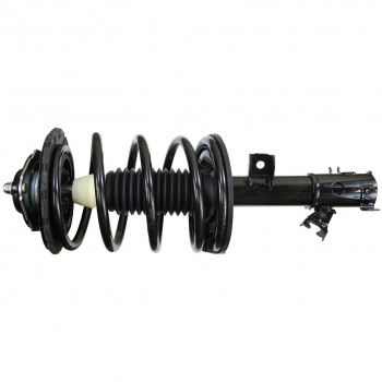 Suspension Strut and Coil Spring Assembly