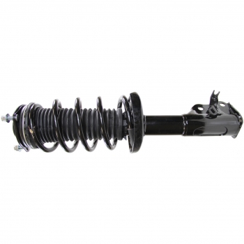 Suspension Strut and Coil Spring Assembly