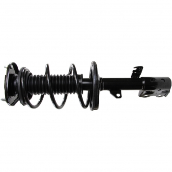 Suspension Strut and Coil Spring Assembly
