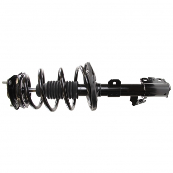 Suspension Strut and Coil Spring Assembly