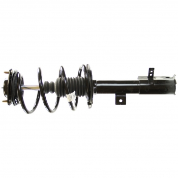 Suspension Strut and Coil Spring Assembly