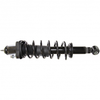 Suspension Strut and Coil Spring Assembly